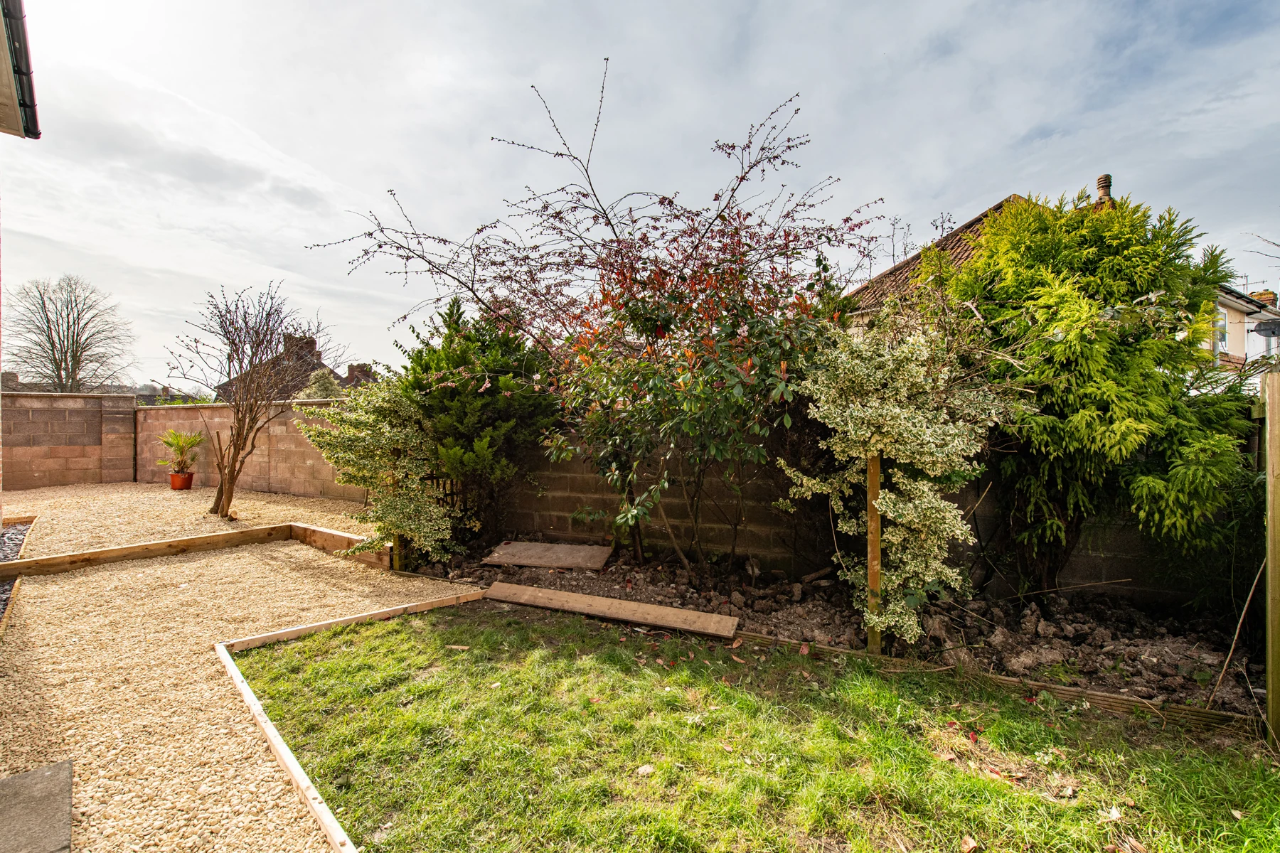 The garden in Bedminster, Bristol